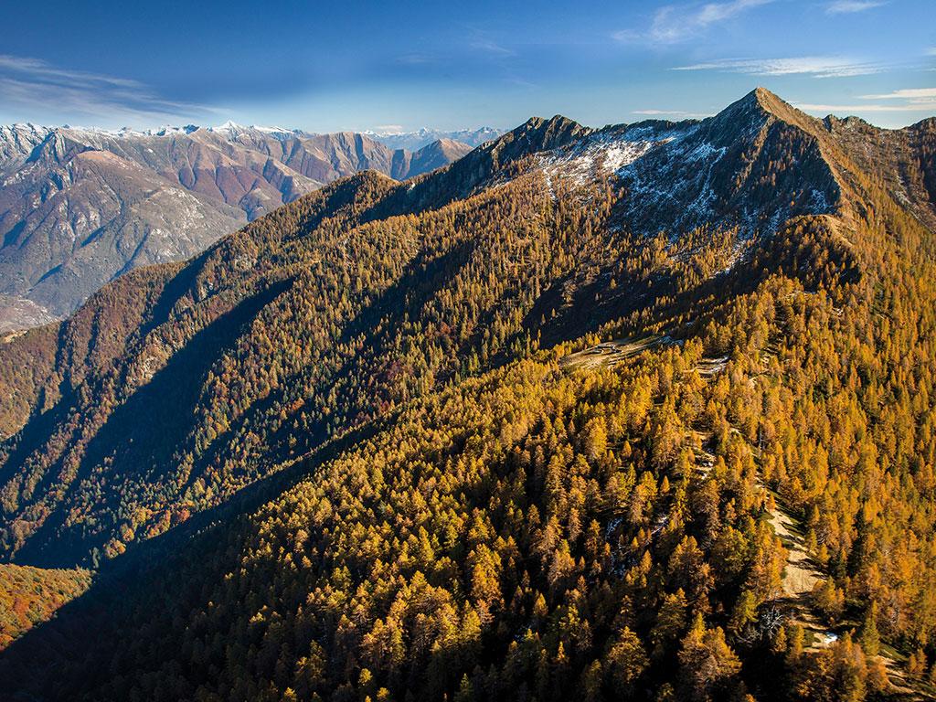 Image 1 - Valle di Lodano Forest Reserve
