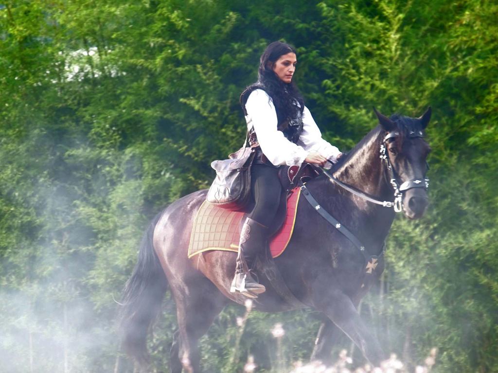 Image 3 - Falconeria Locarno