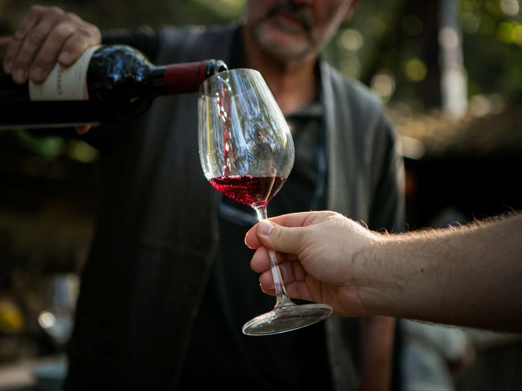 Image 1 - Degustazione e visita in cantina