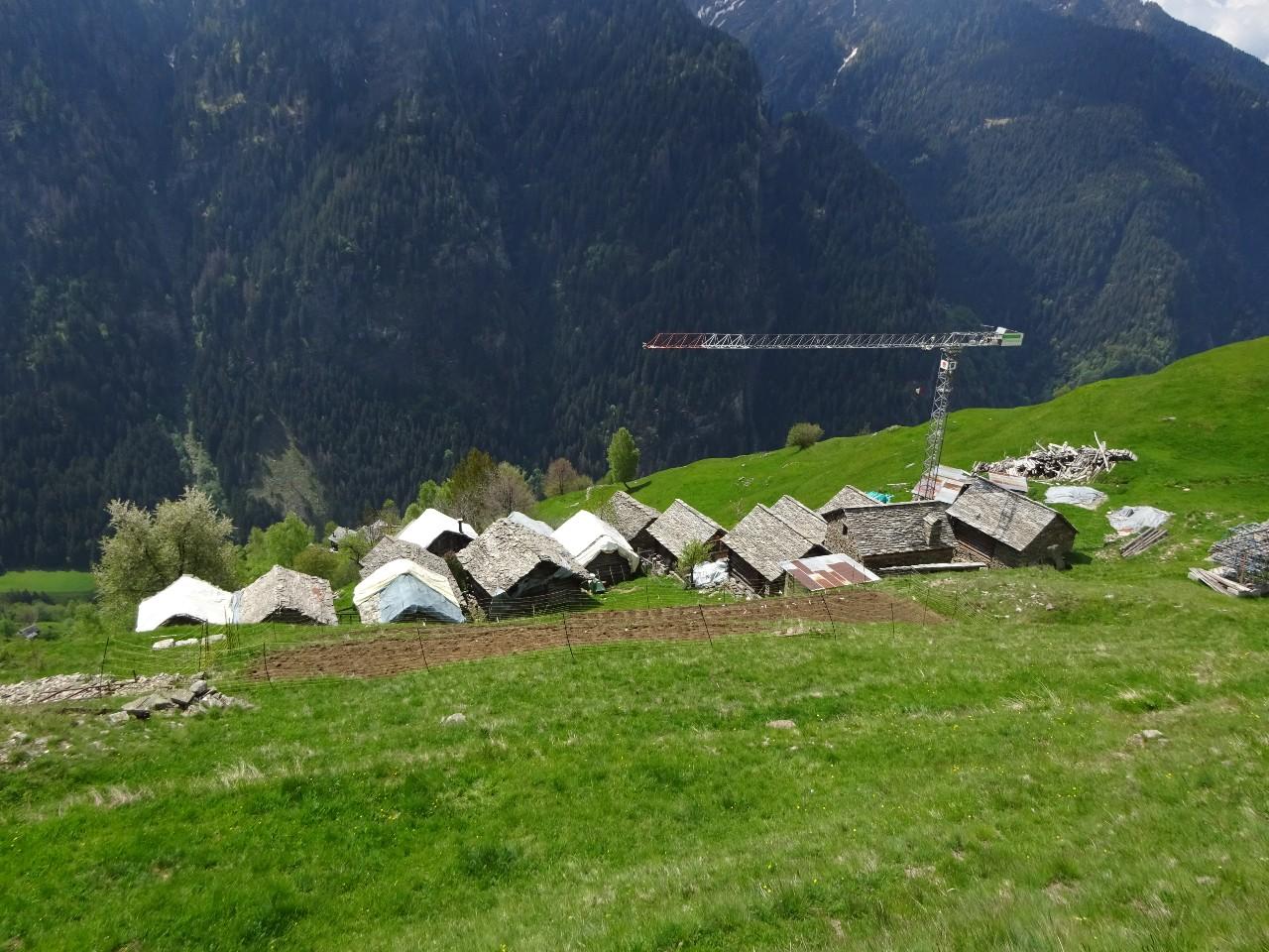 Image 4 - Germanionico