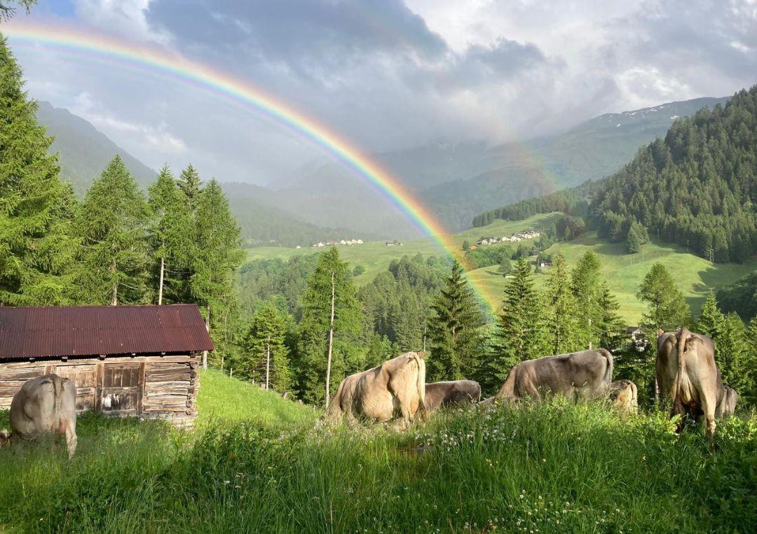 Image 0 - Azienda agricola Croce