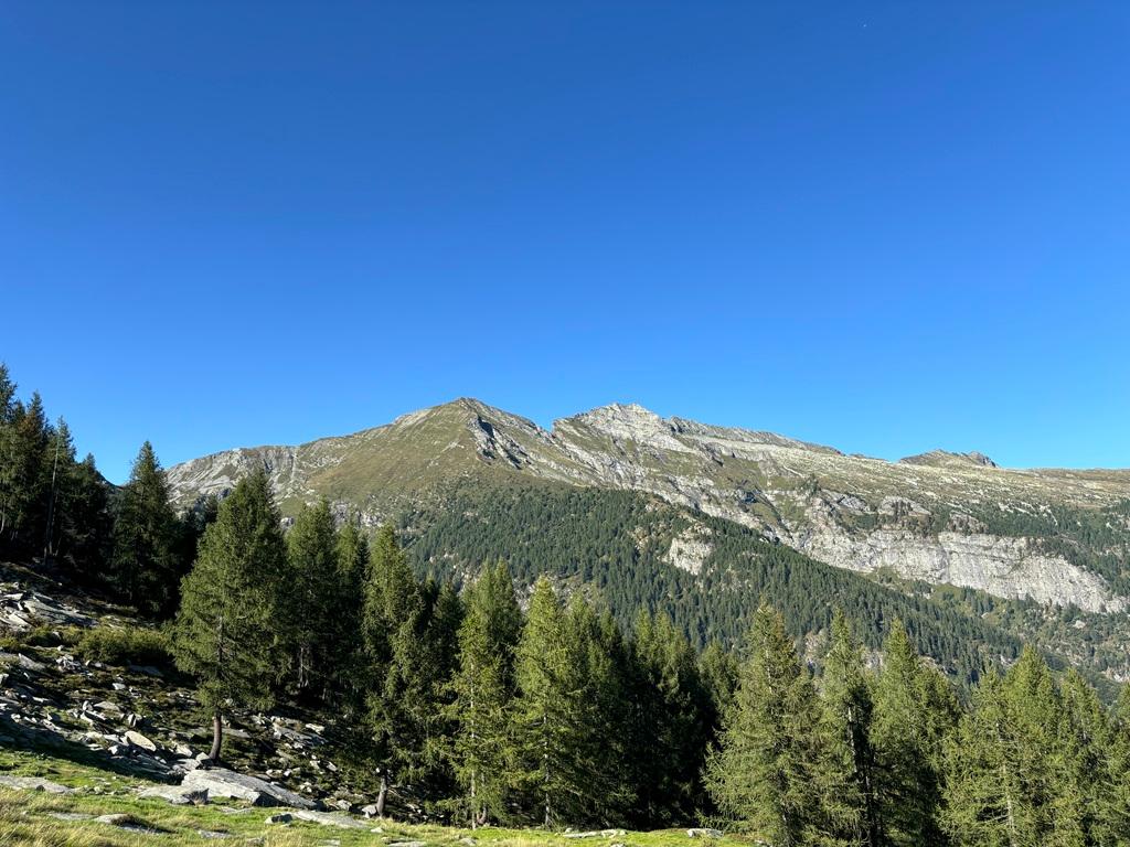 Image 2 - Berghütte Arena
