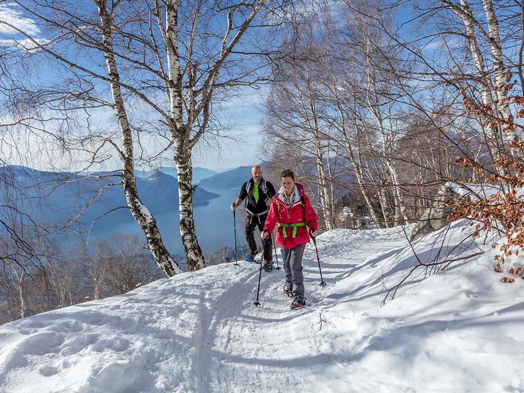 Image 2 - Passeggiate invernali a Cardada Cimetta