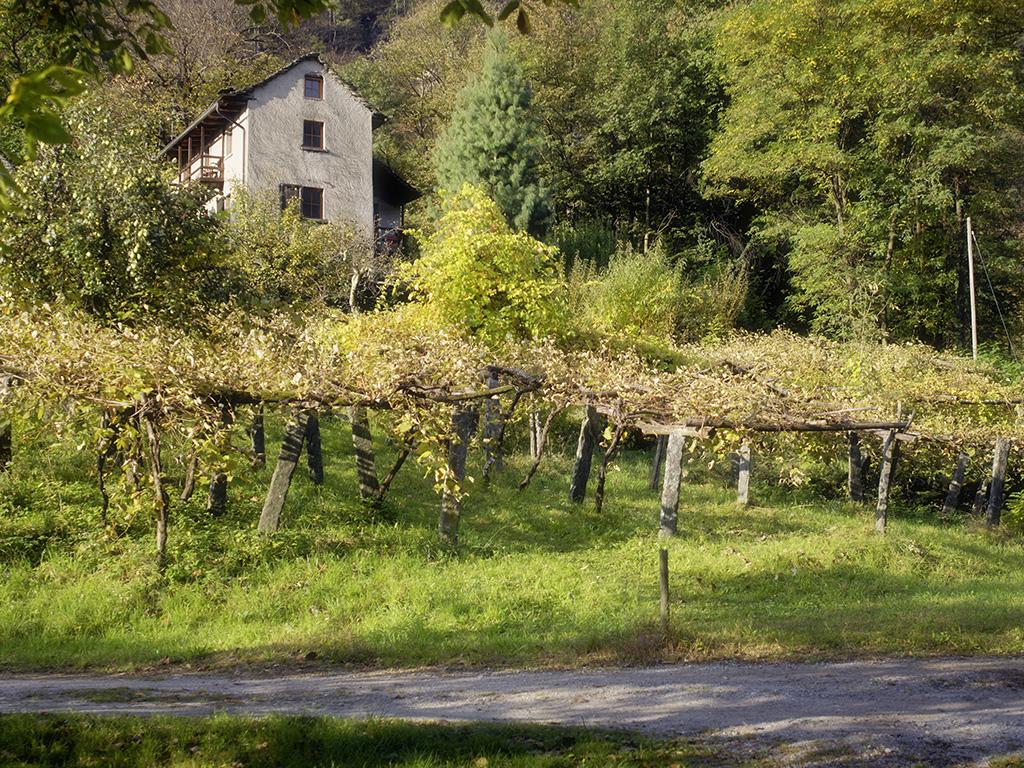 Image 0 - Boschetto Pensione