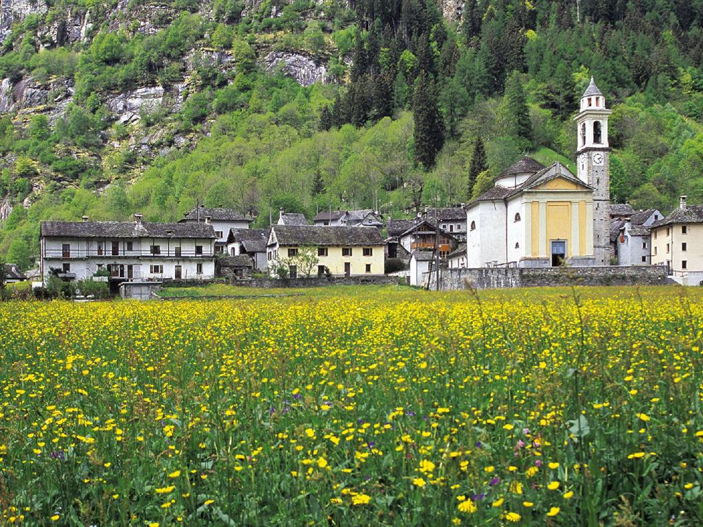 Image 0 - The market of Sonogno