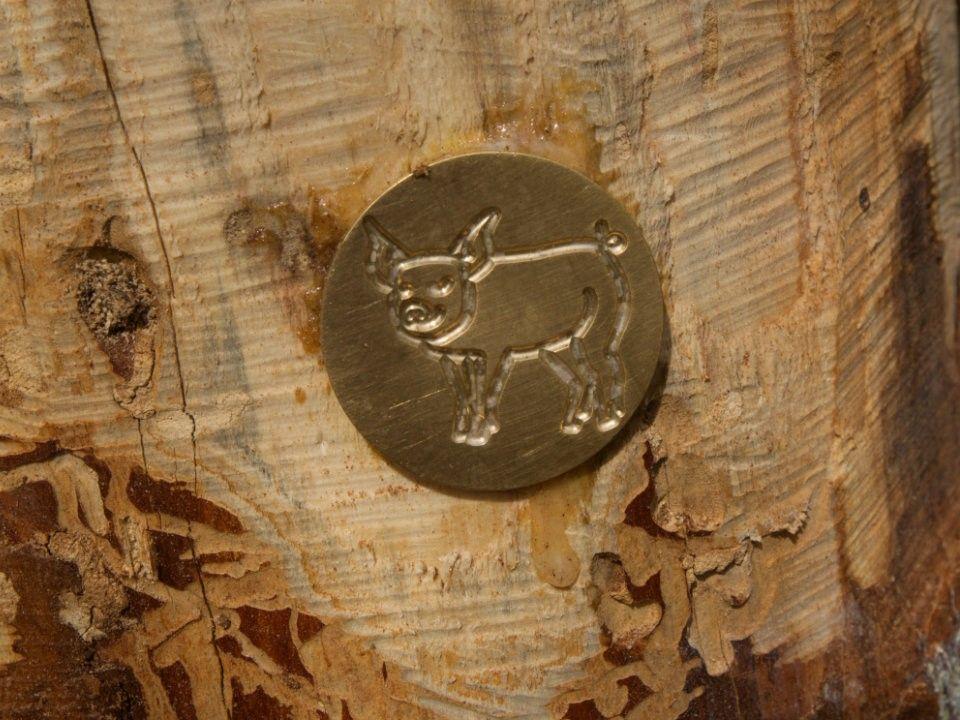 Image 1 - Schatzsuche – Campo Blenio