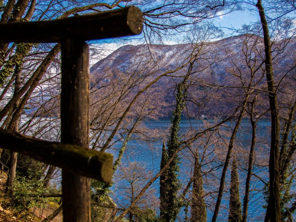 Image 3 - Walking along the Olive Trail of Gandria