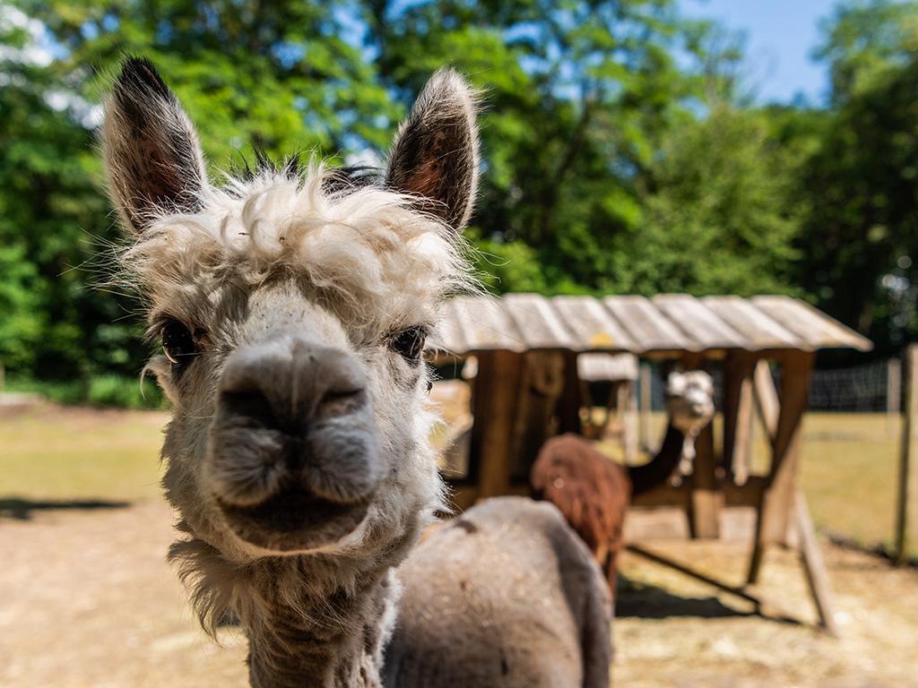 Image 2 - Ca.Stella Farm