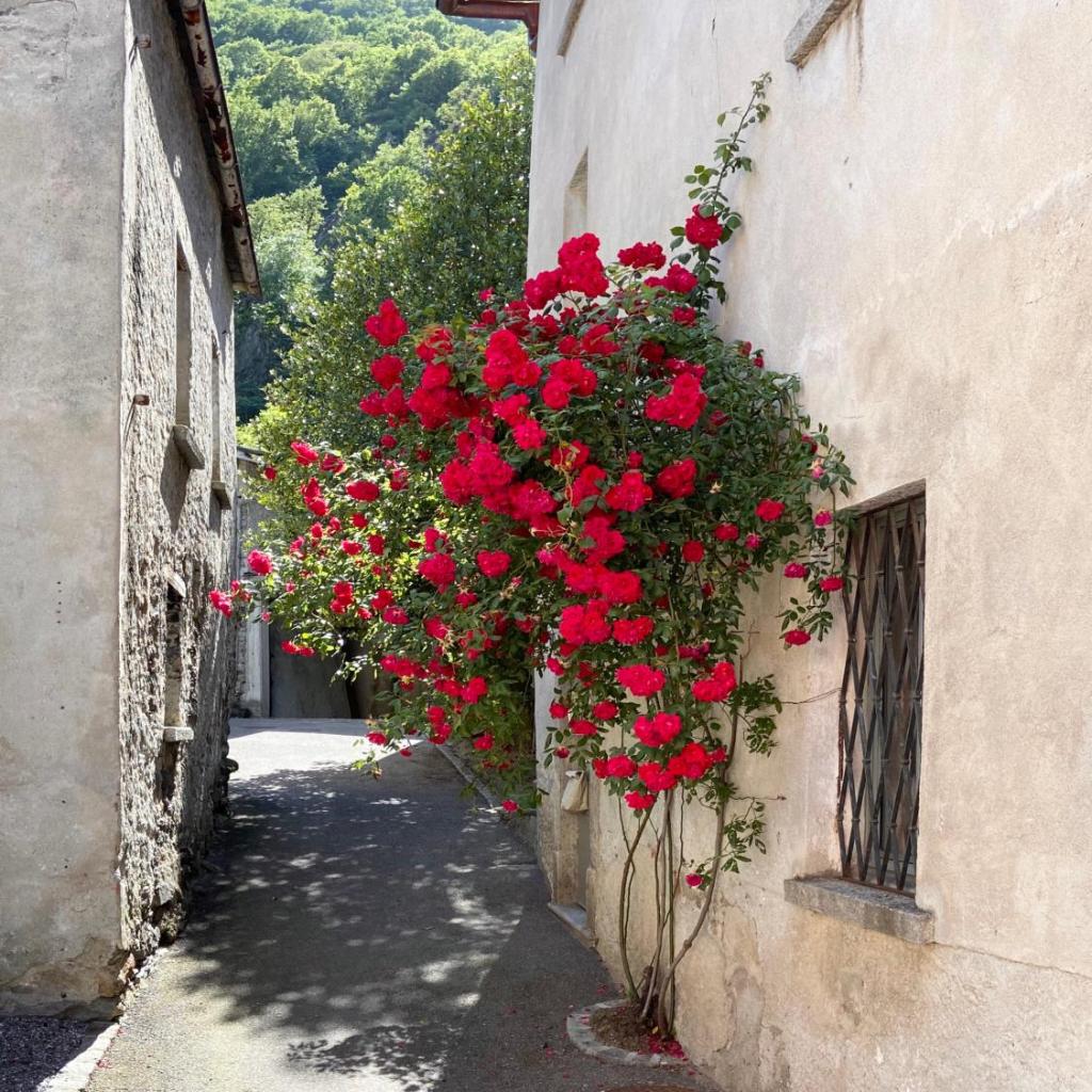 Image 0 - Ca' Spontoi, Do-Minus Design Retreat & SPA