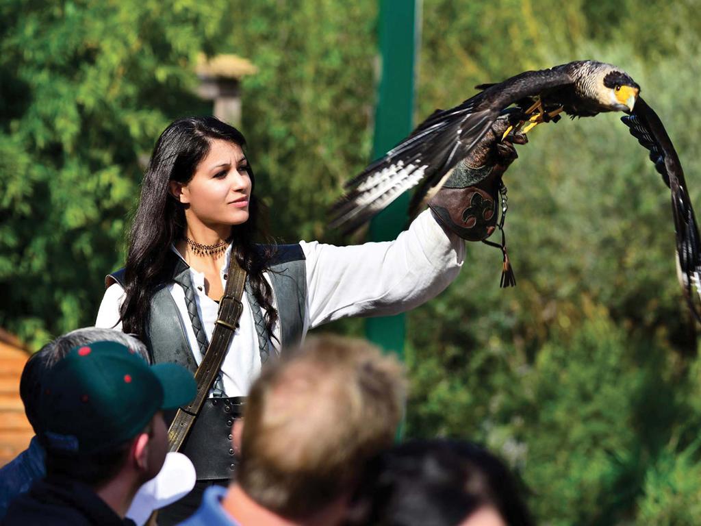 Image 1 - Falconeria Locarno