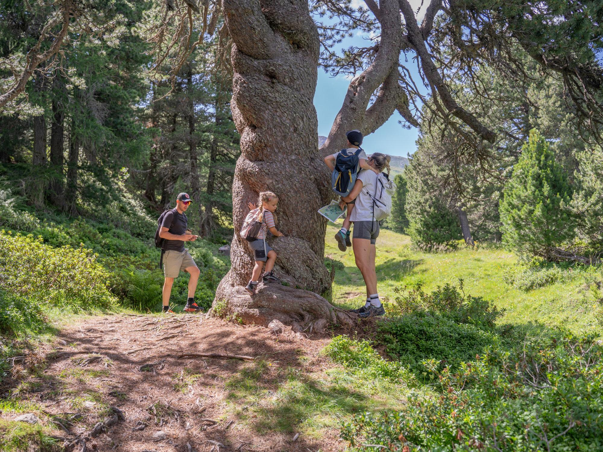 Image 1 - Caccia al tesoro – Lucomagno