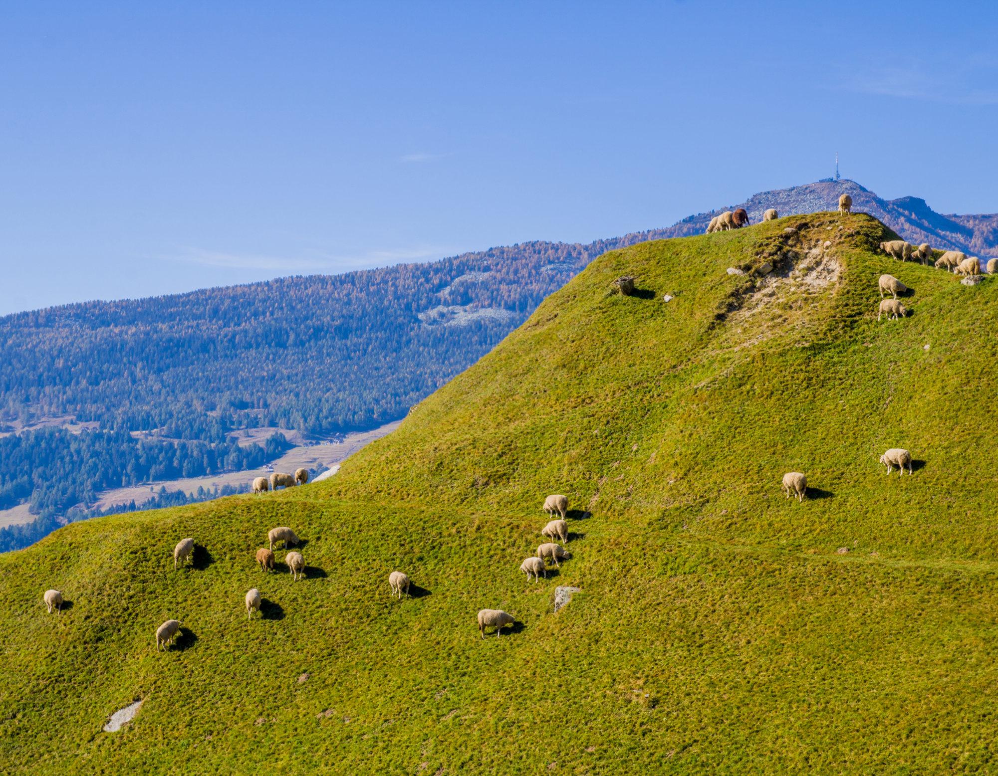 Image 1 - Cablecar Malvaglia-Dagro 