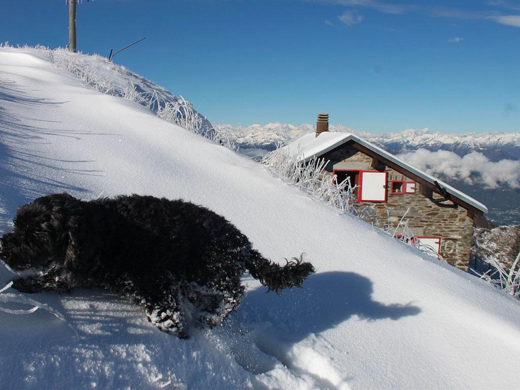 Image 7 - Capanna Tamaro