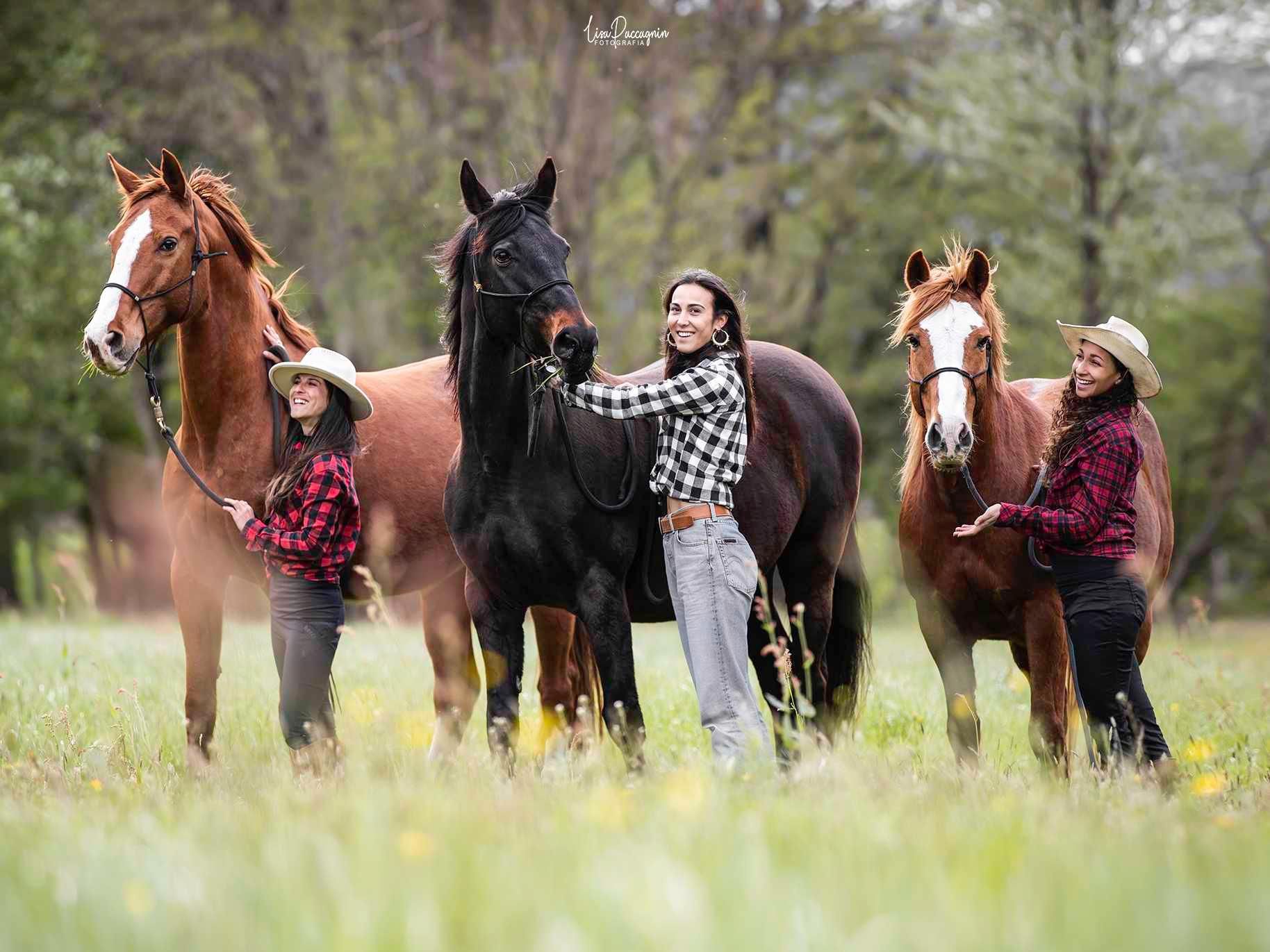 Image 0 - HorseWay Boscobello