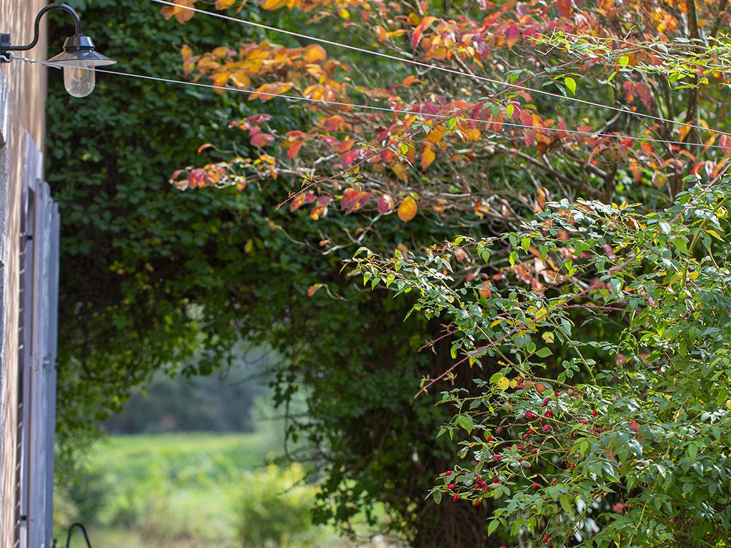 Image 26 - Vecchia Dogana Guesthouse