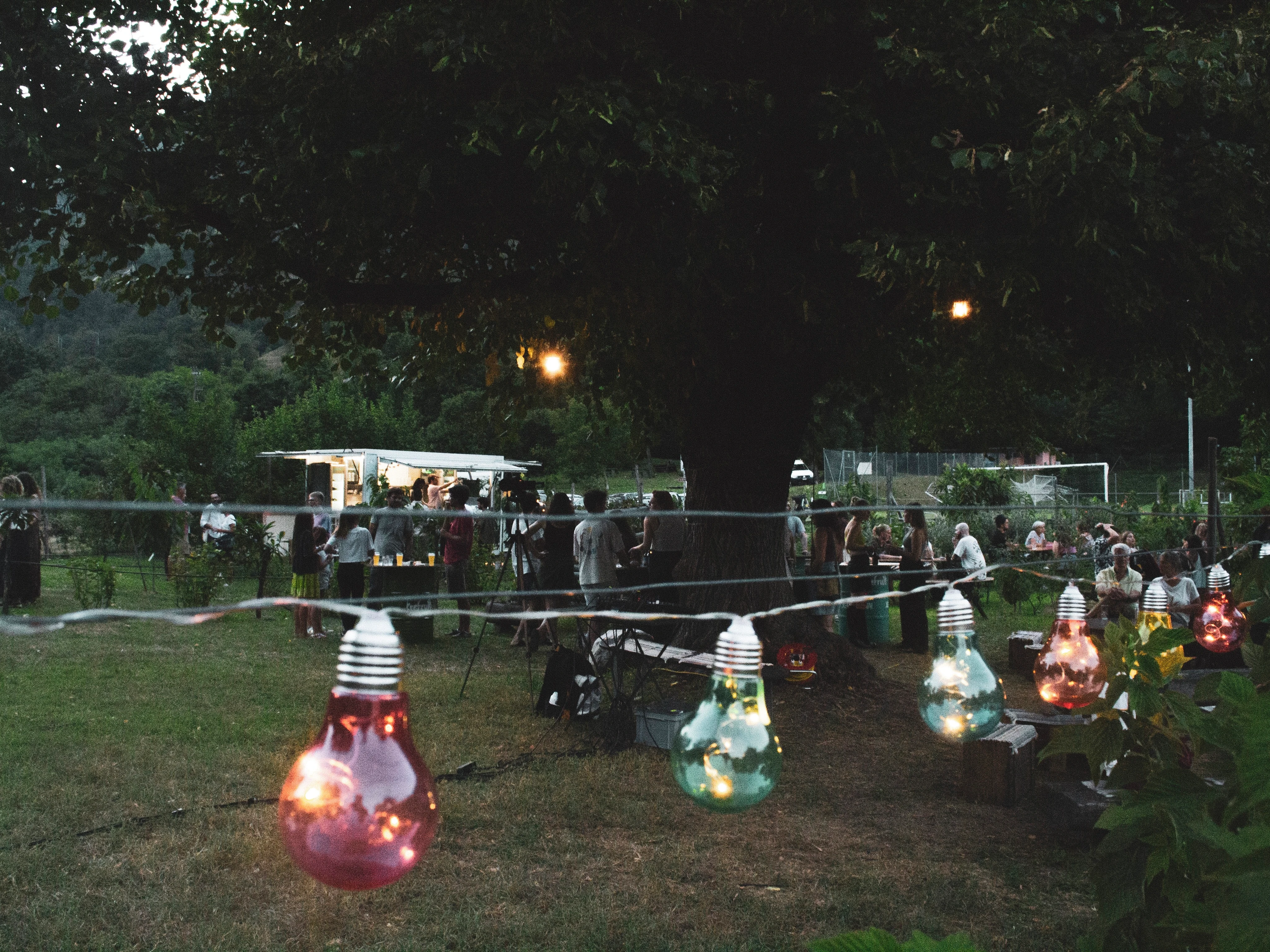 Image 5 - 
