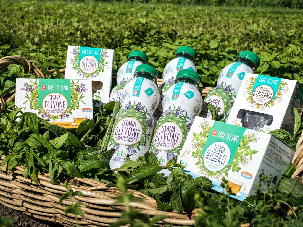 Image 0 - Erbe Ticino (cofti.ch SA)