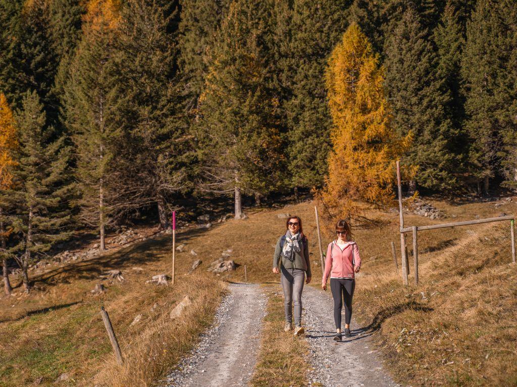 Image 7 - Agriturismo Alla Meta