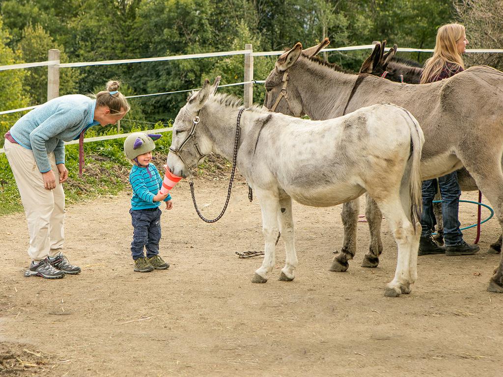 Image 5 - SOMARELLI - Trekking und Abenteuer mit Tieren