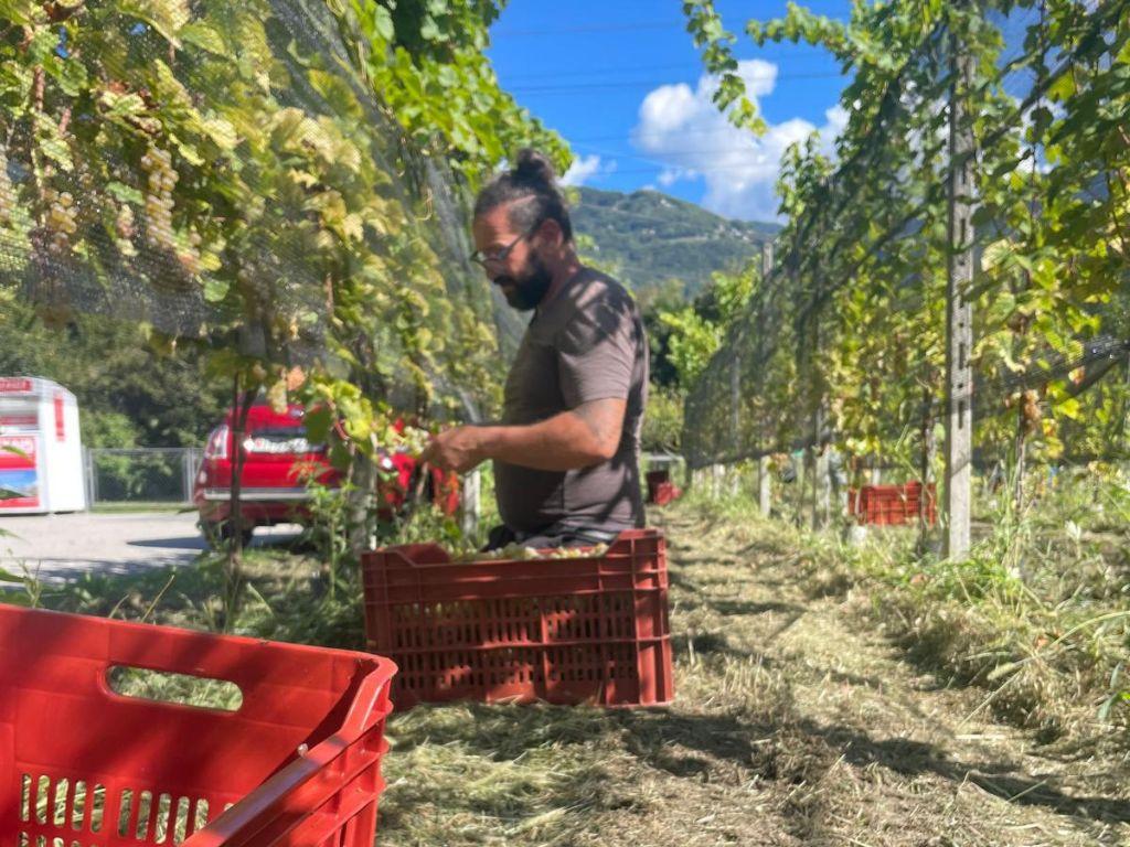 Image 5 - Cantina Altamira