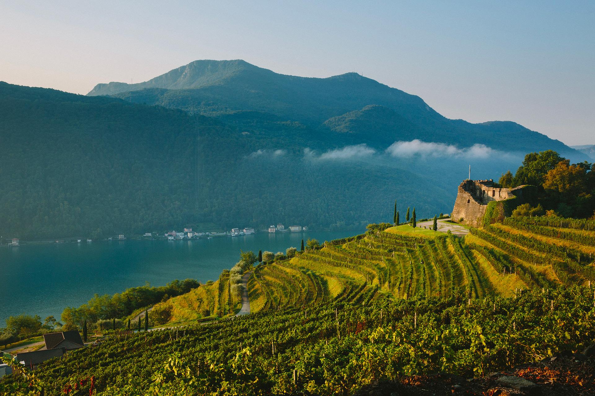 Image 0 - Tenuta Castello di Morcote