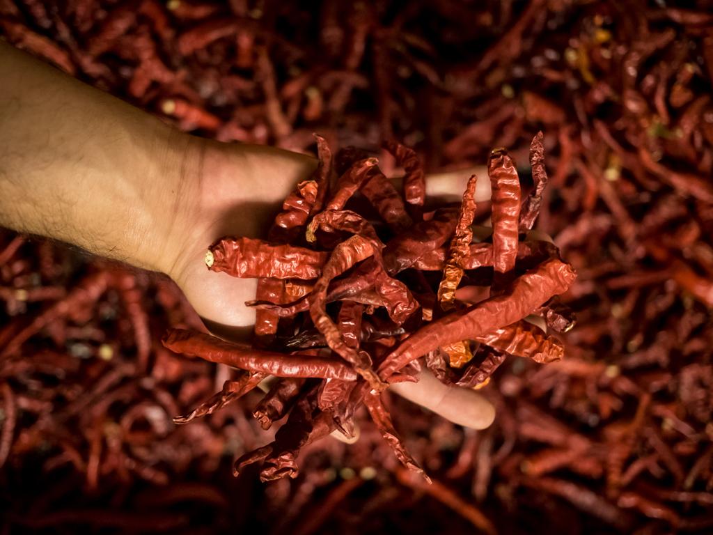 Image 2 - Erbe Ticino (cofti.ch SA)