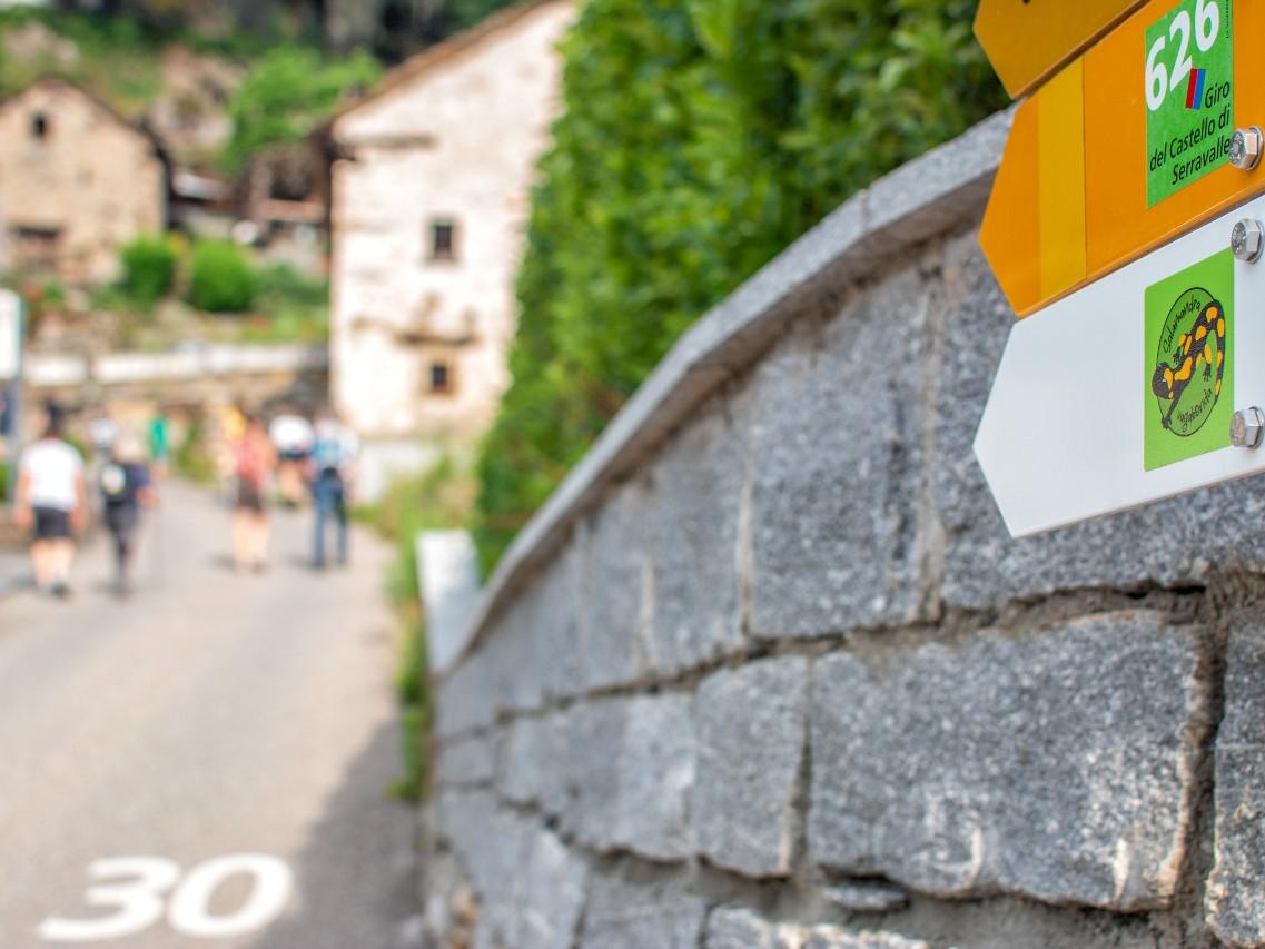 Image 5 - Schatzsuche – Salamandra Vagabonda