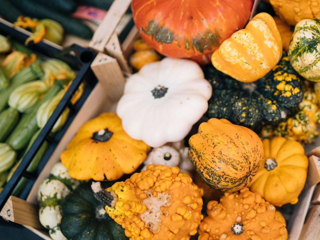 Image 5 - Crème de potiron - La recette