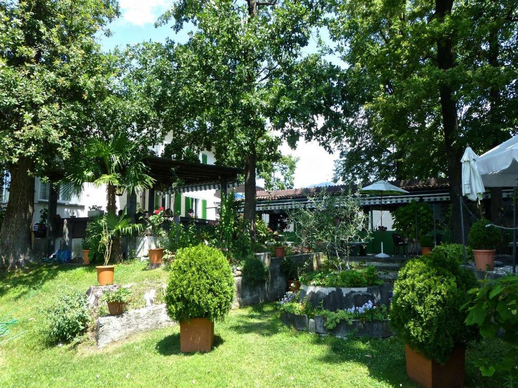 Image 3 - Ristorante Da Nani Ascona