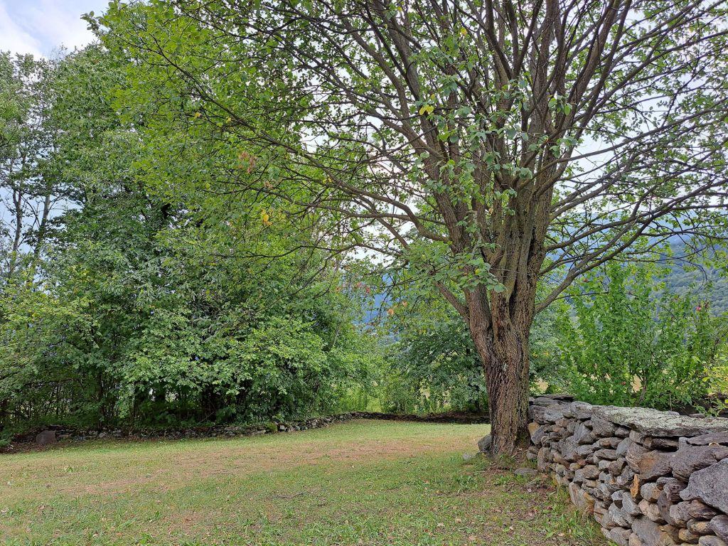 Image 1 - Camp Biotopo Mundra