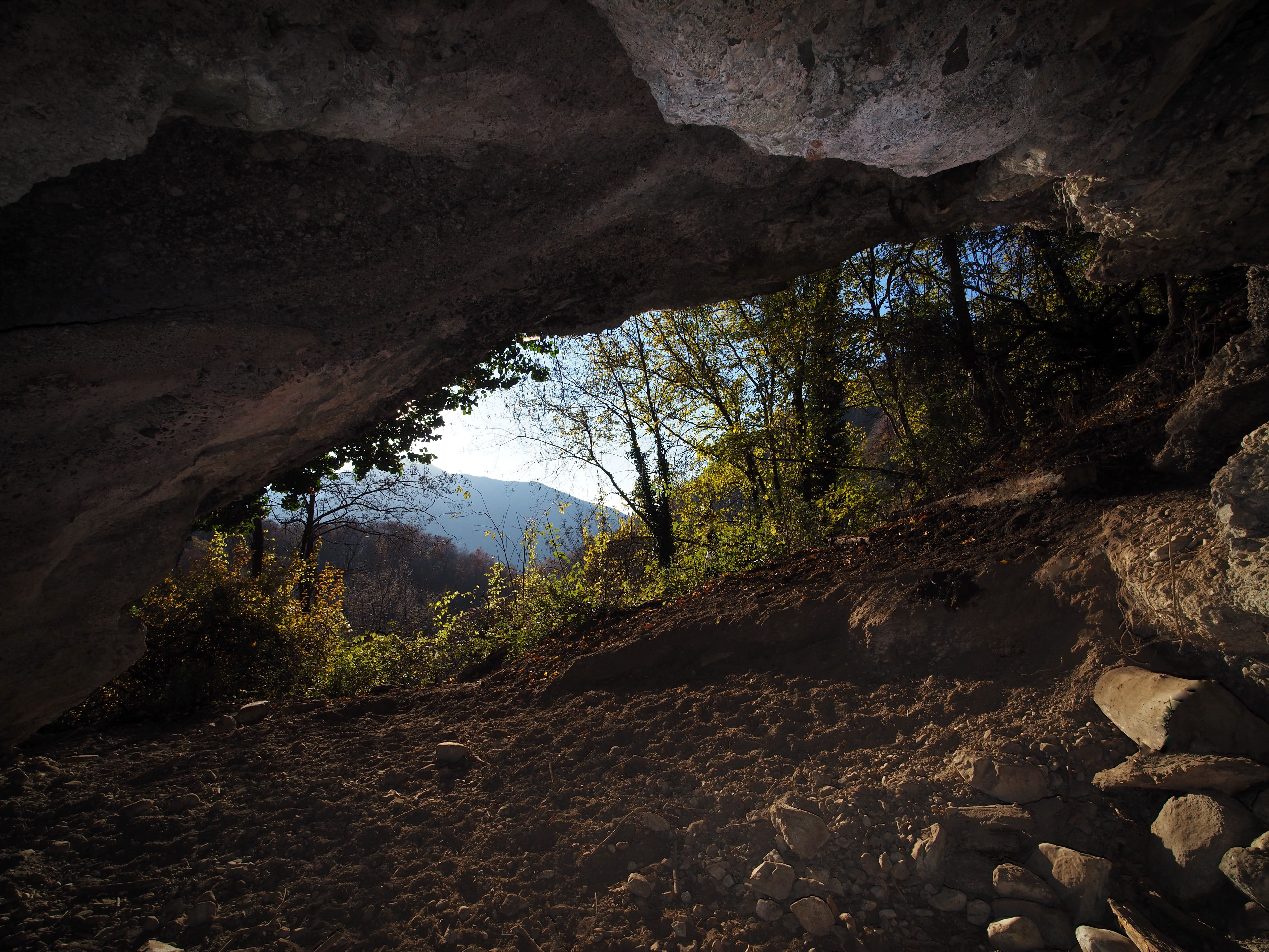 Image 1 - 