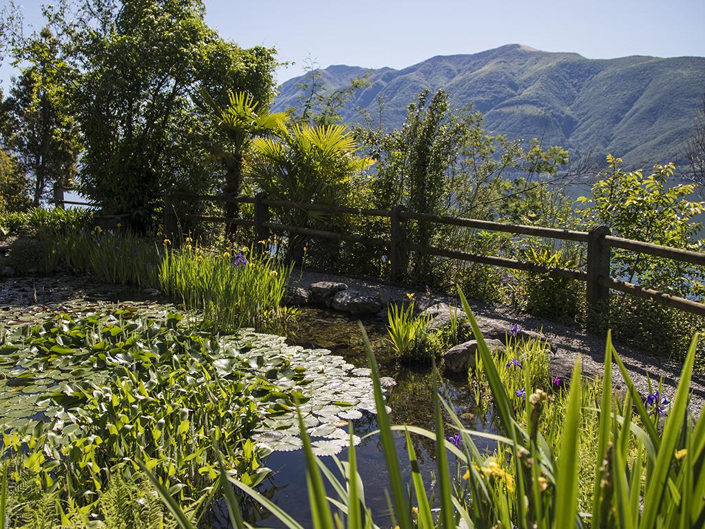 Image 5 - Parkhotel Brenscino Brissago