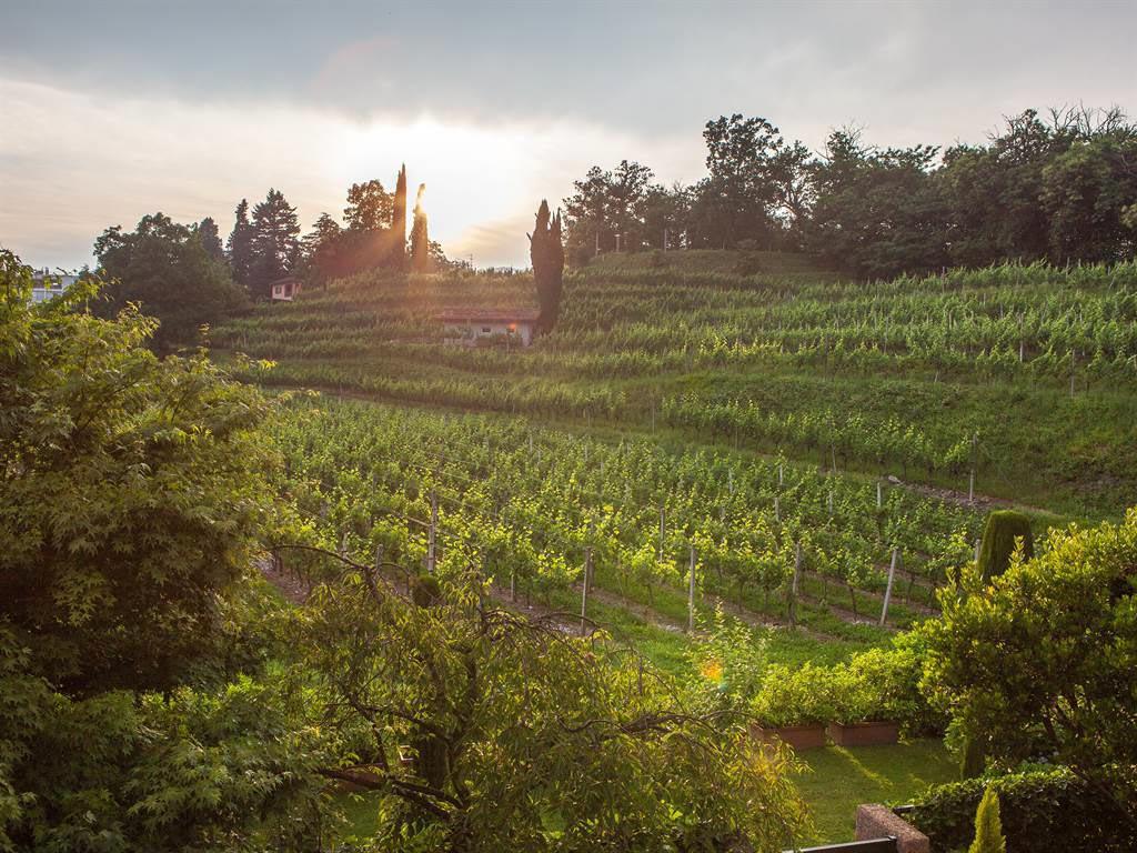 Image 62 - Park Hotel Principe