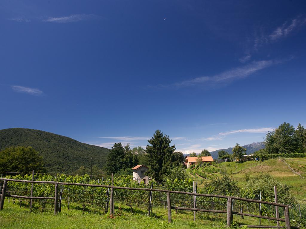 Image 2 - Sentiero didattico Tracce d'uomo