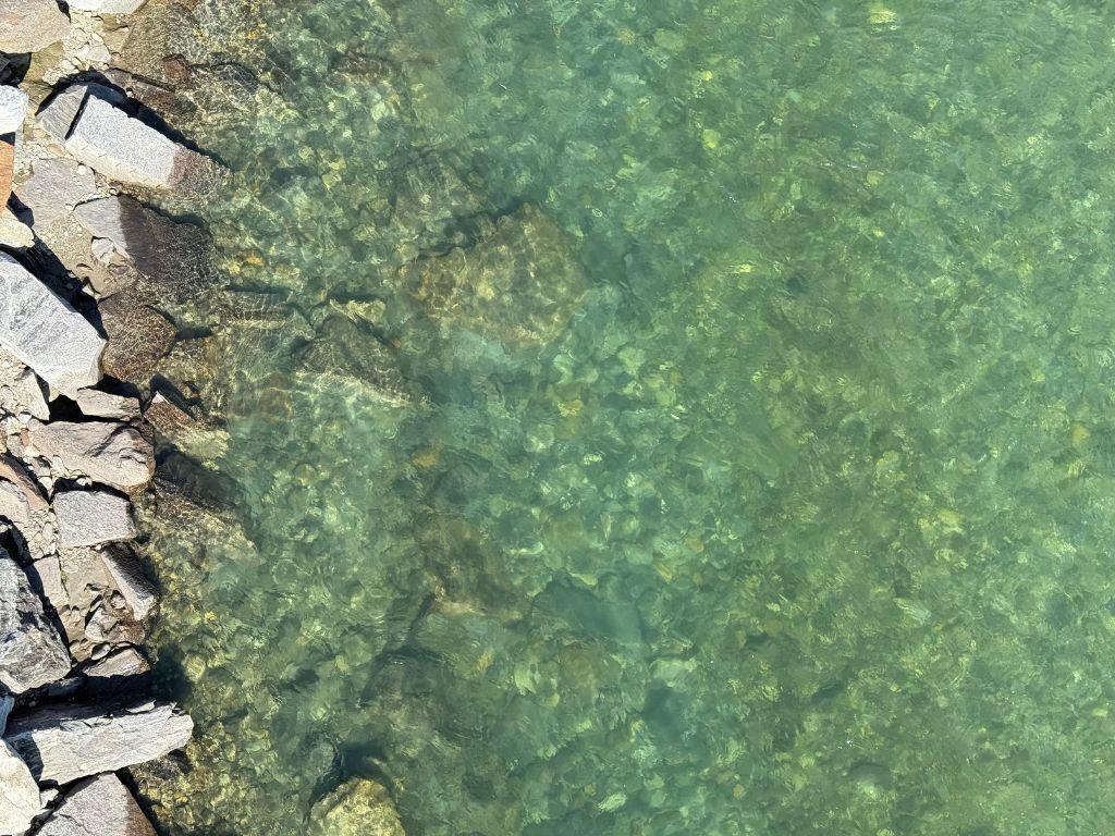 Image 1 - Parco della Golena