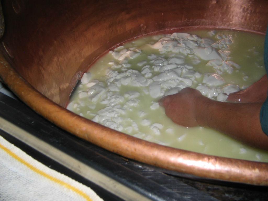 Image 5 - Azienda Capra Contenta