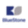 BlueStone S.r.l.