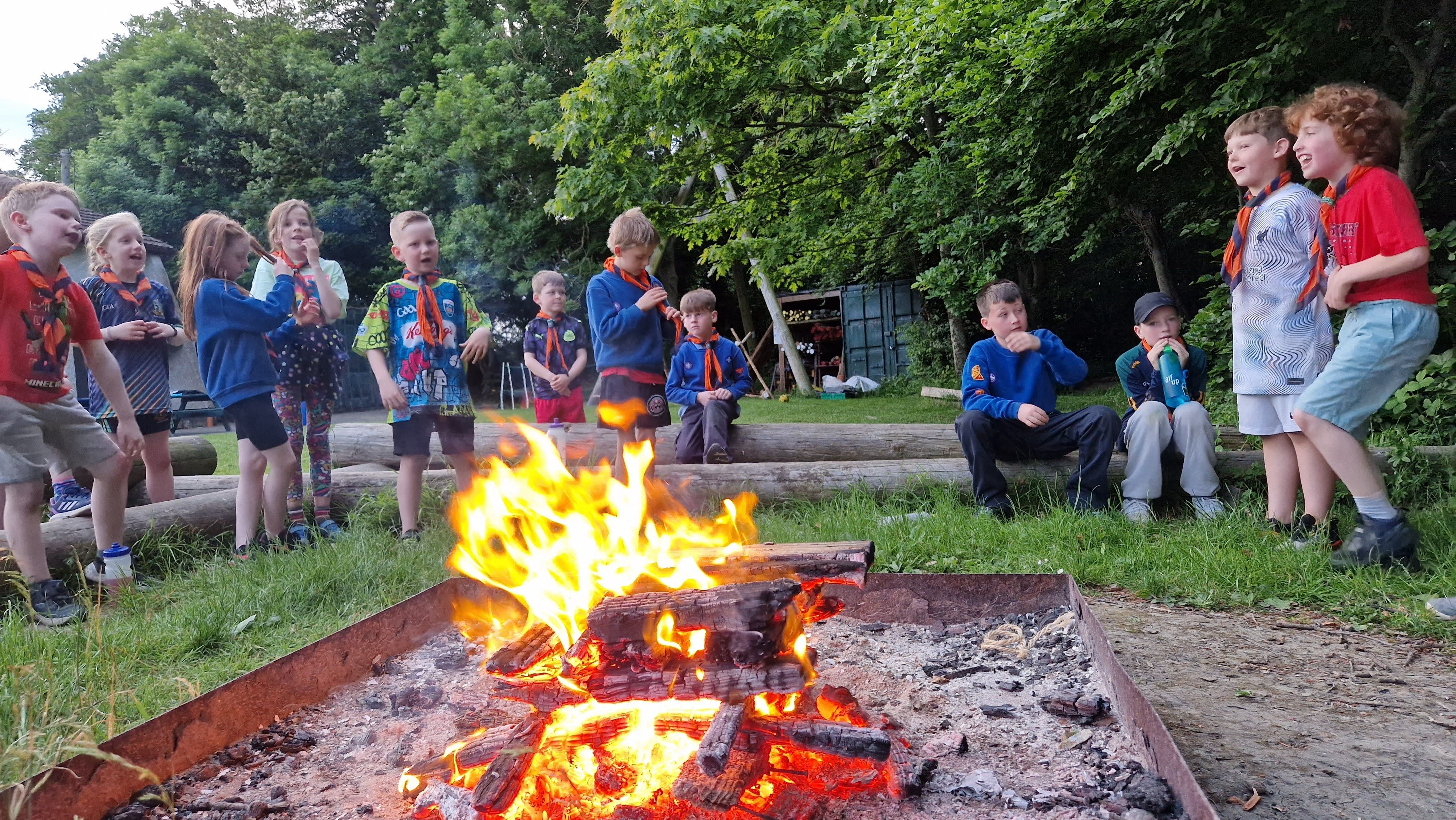 Beavers enjoying a campfire