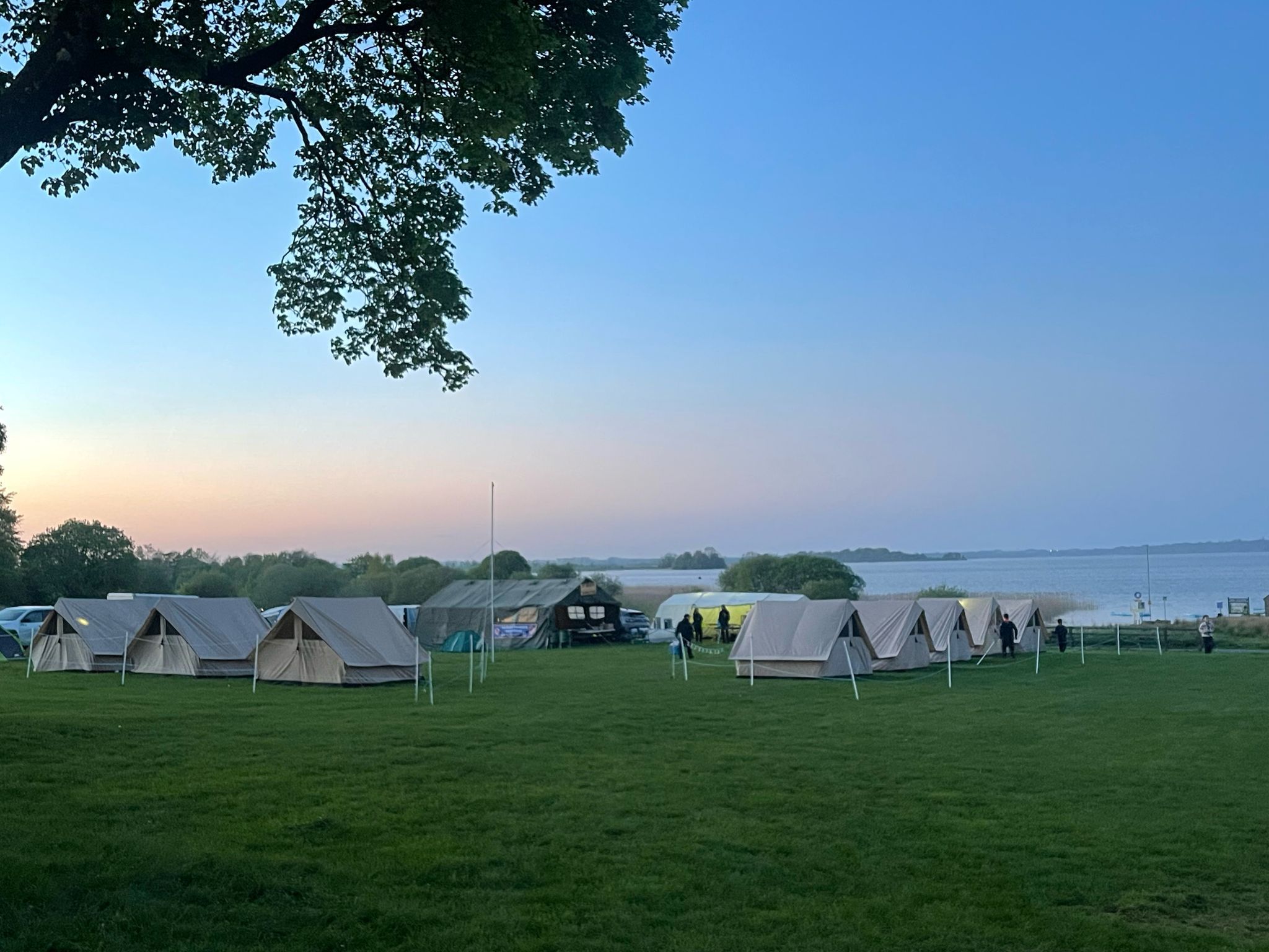 Cubs Campsite