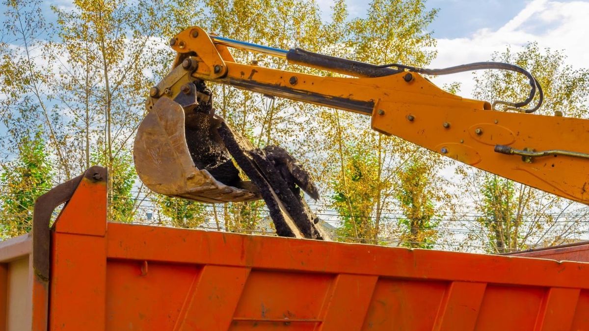 Dirt Removal job