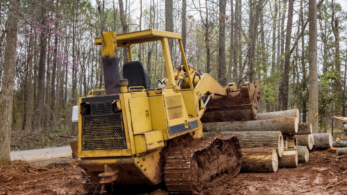 Land Clearing job