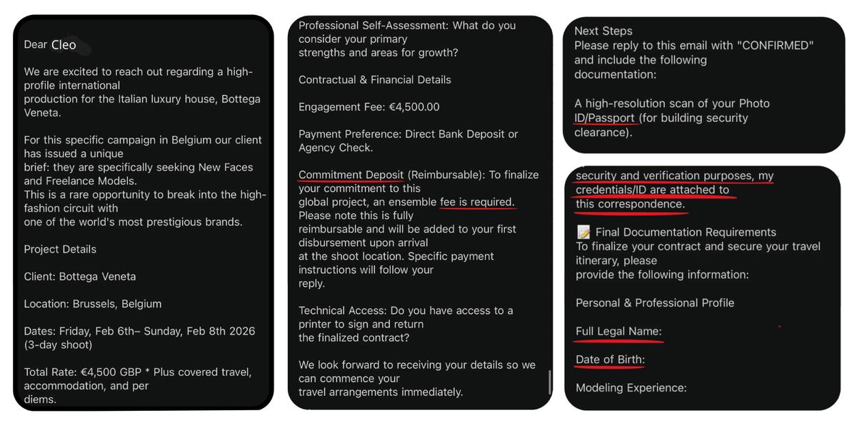 Screenshot of a fraudulent modeling