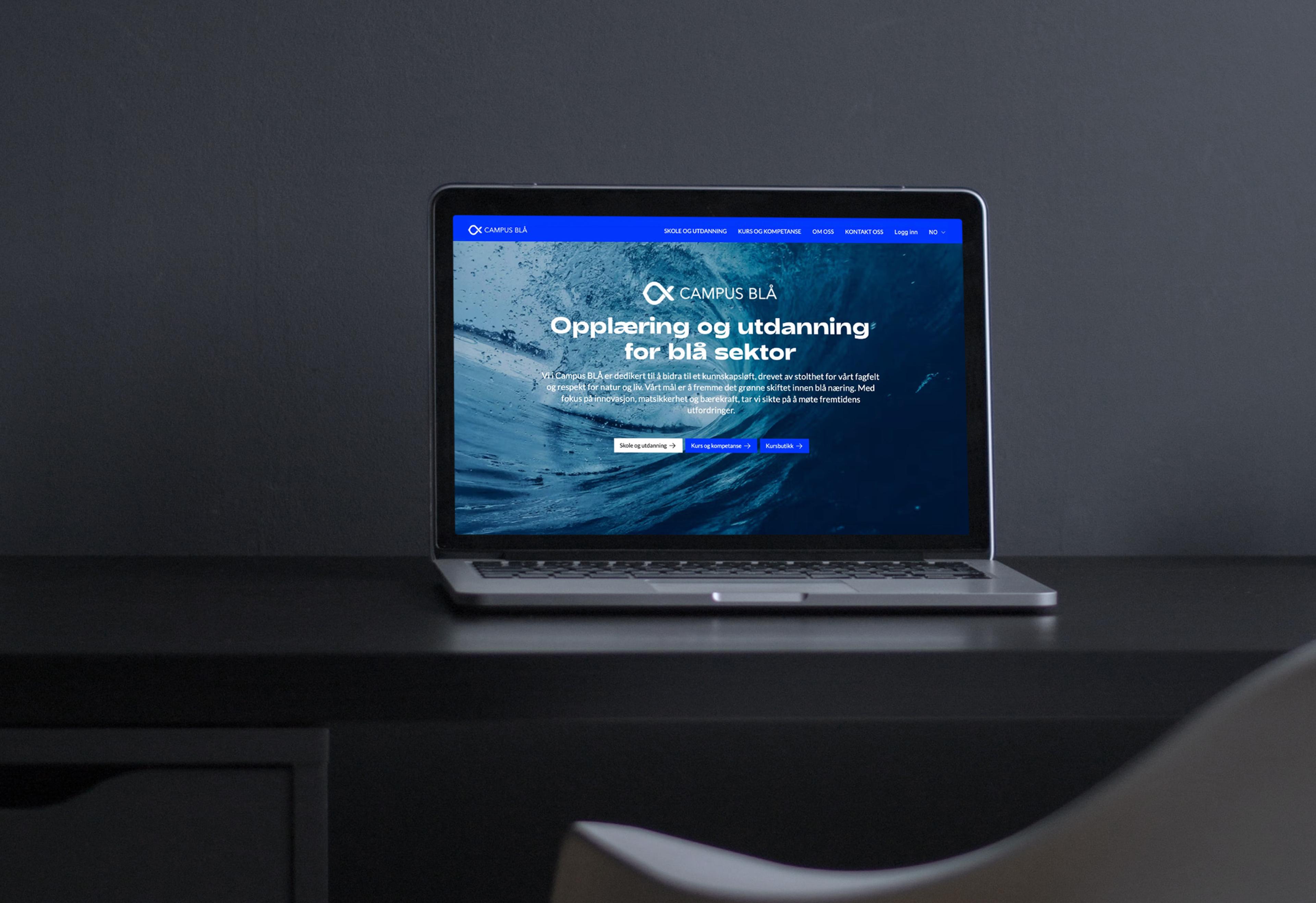 Utsnitt av forsiden til campusblaa.no