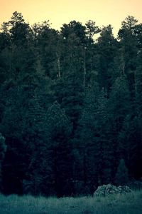 Ghostbusters: Frozen Empire