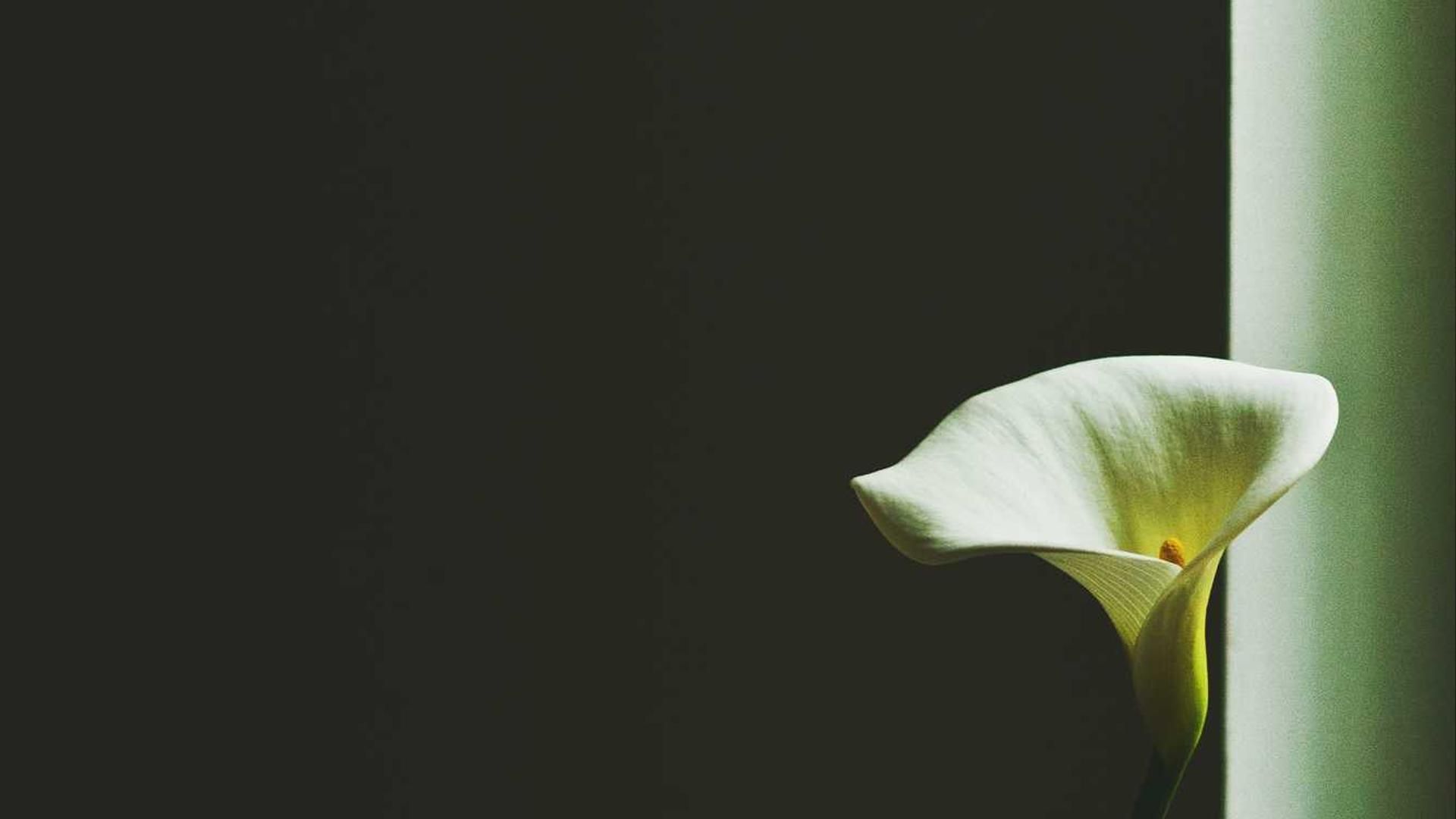 Ministry of Ungentlemanly Warfare