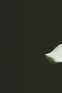 Ministry of Ungentlemanly Warfare