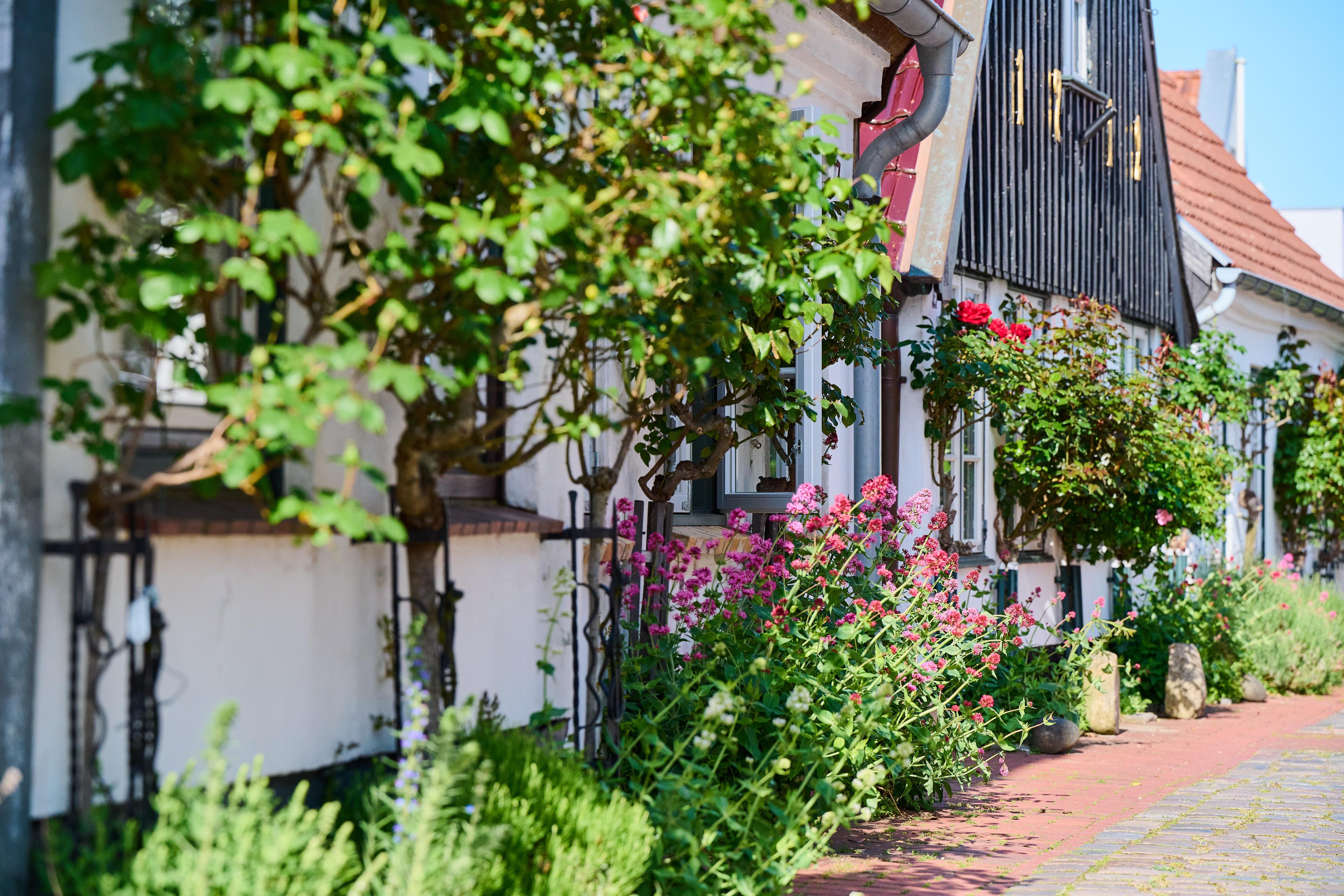 Eine Reihe von Fachwerkhäusern mit üppigen Blumen und Sträuchern entlang des Gehwegs