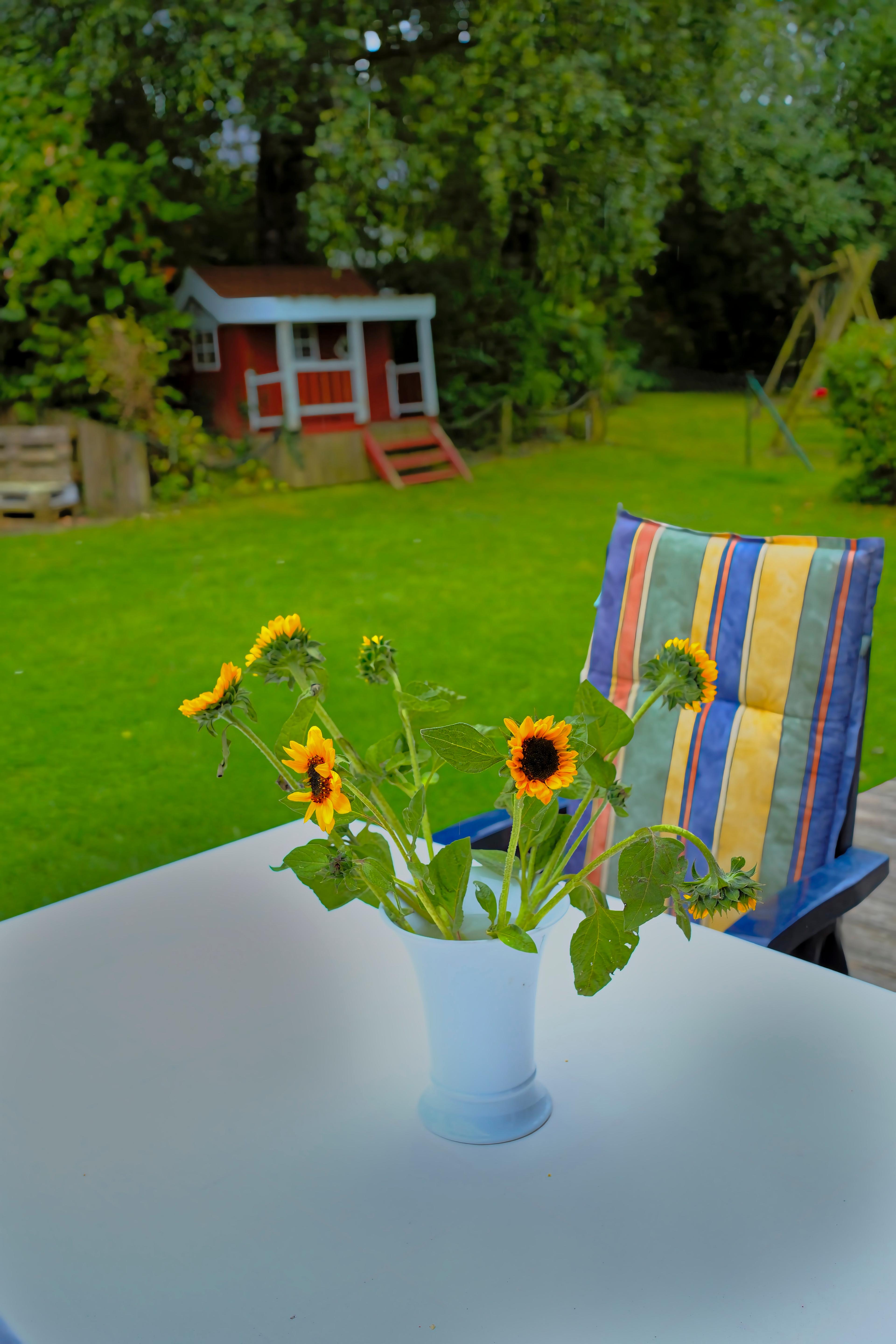 Ein Garten mit einem Tisch, auf dem eine Vase mit Sonnenblumen steht, und im Hintergrund ein rotes Spielhaus