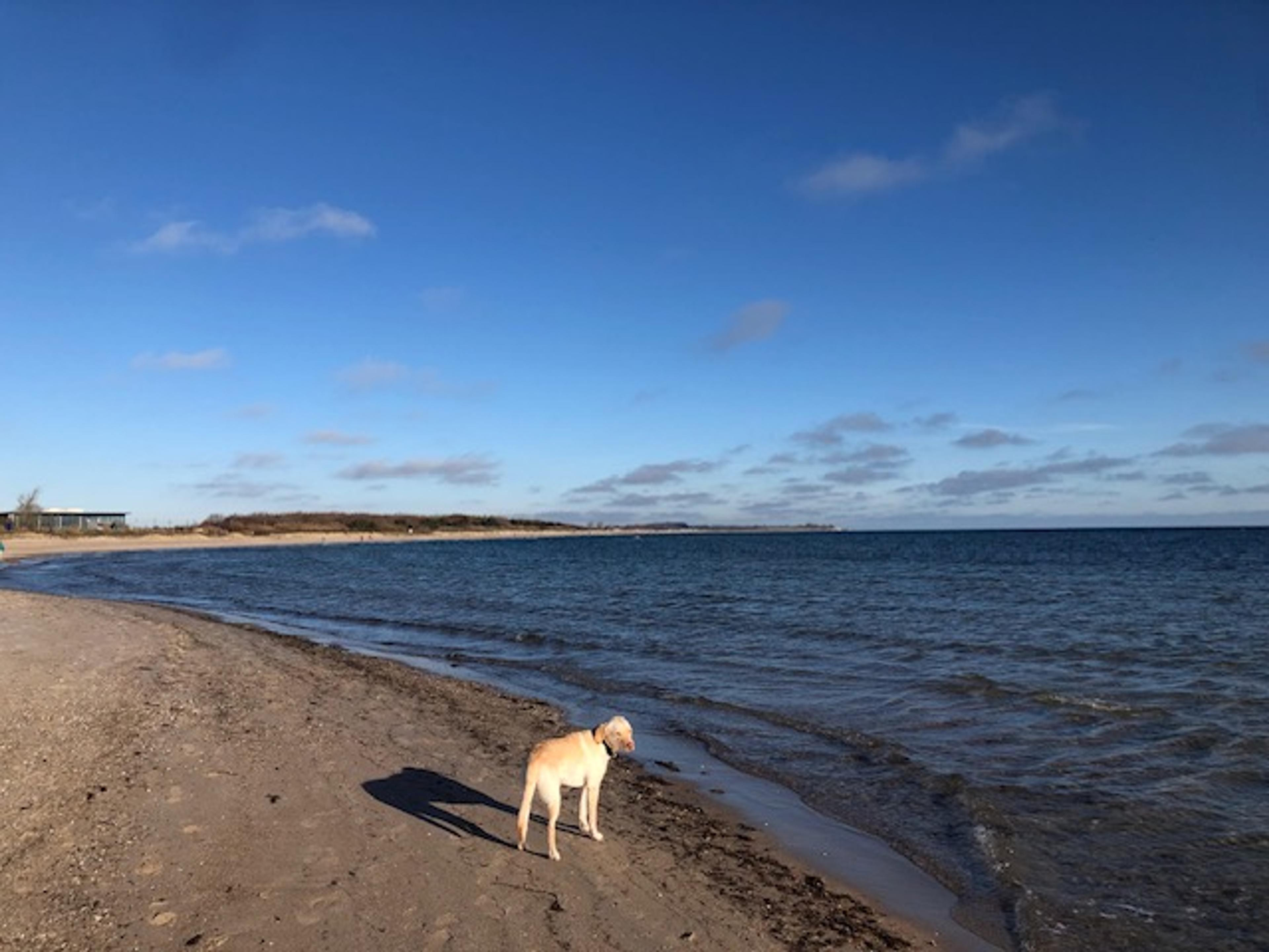 Blog Thumbnail Image