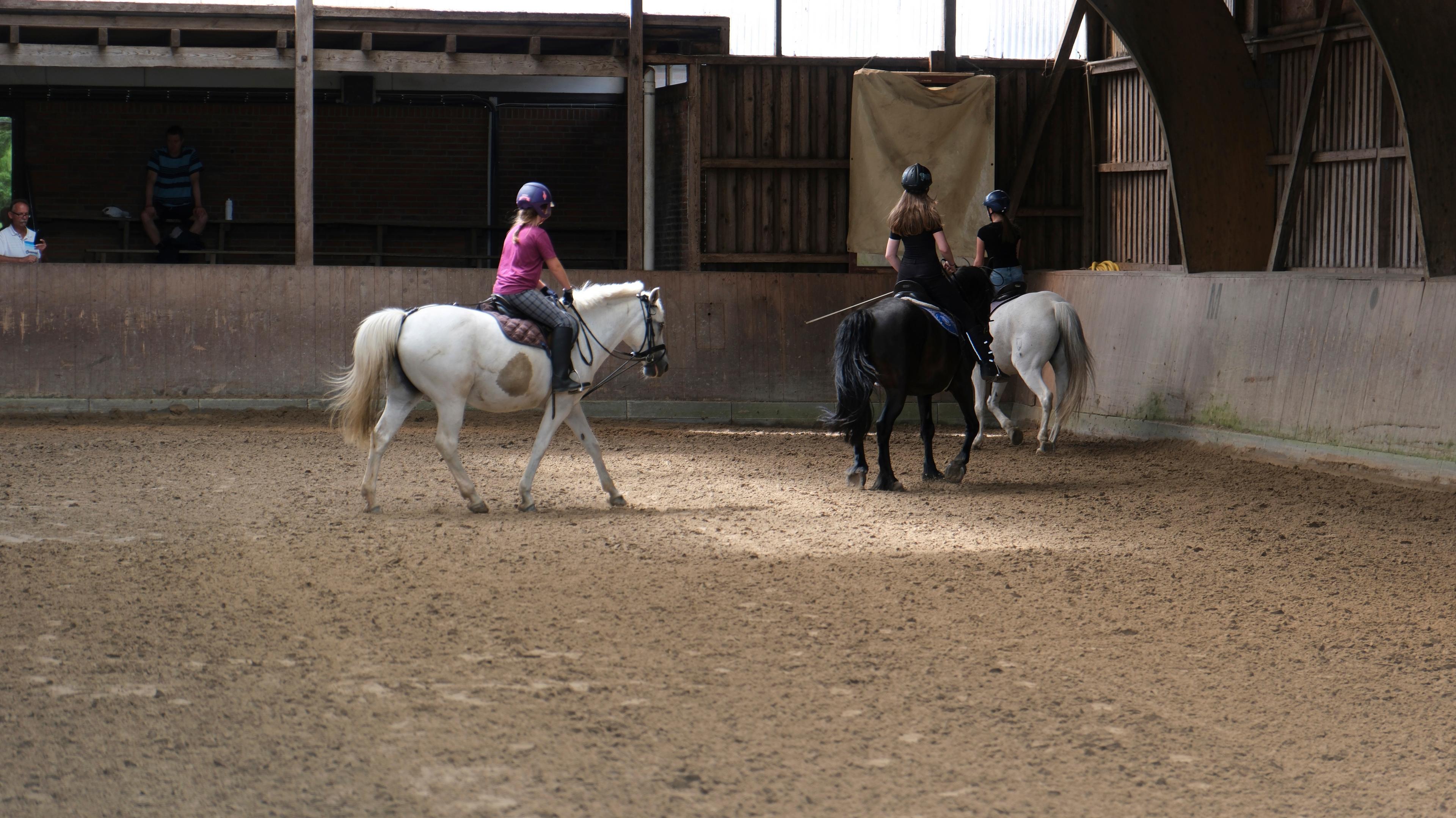 Kinder reiten auf Pferden in einer Reithalle, begleitet von einem Erwachsenen